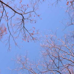 دانلود آهنگ محمد رمضان رمادونا